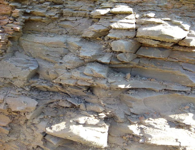 Bentonite Powder Manufacturers in India: At the Crossroads of Tradition, Tech, and Trade bentonite clay suppliers