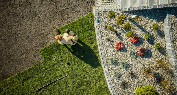 Customized Solutions Landscaping Services near Me Develop for Tricky Soil Types professional landscaping near me